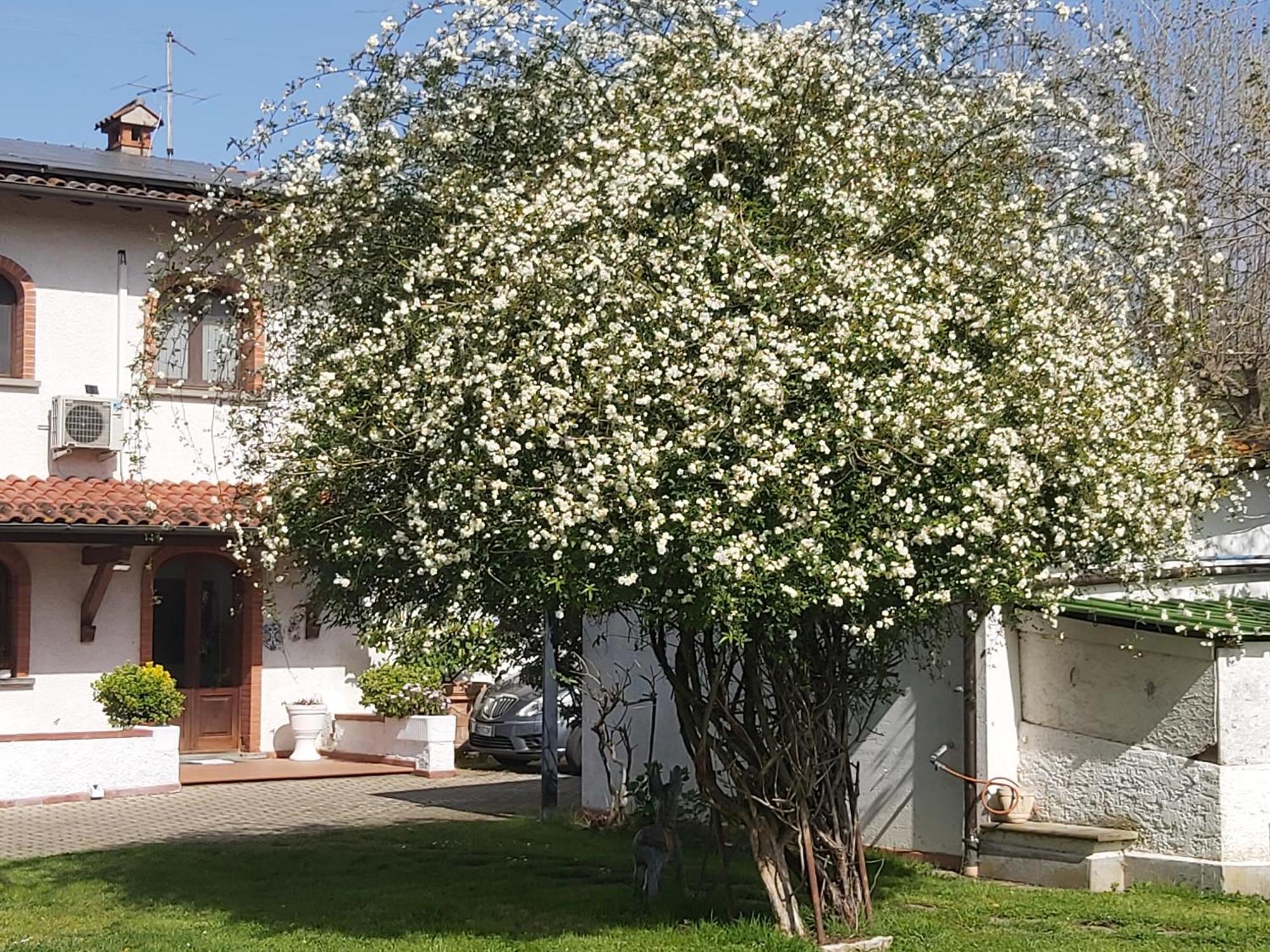 Villa Fioccomare Camaiore Εξωτερικό φωτογραφία