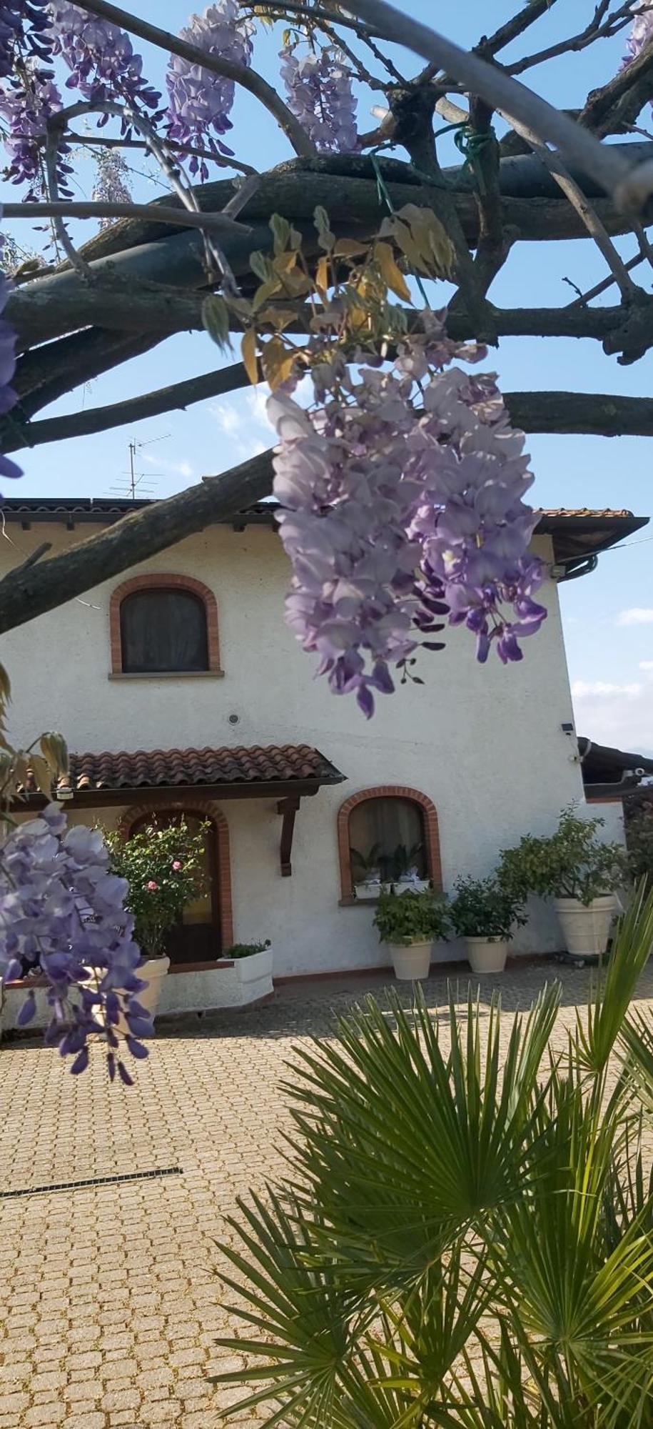 Villa Fioccomare Camaiore Εξωτερικό φωτογραφία