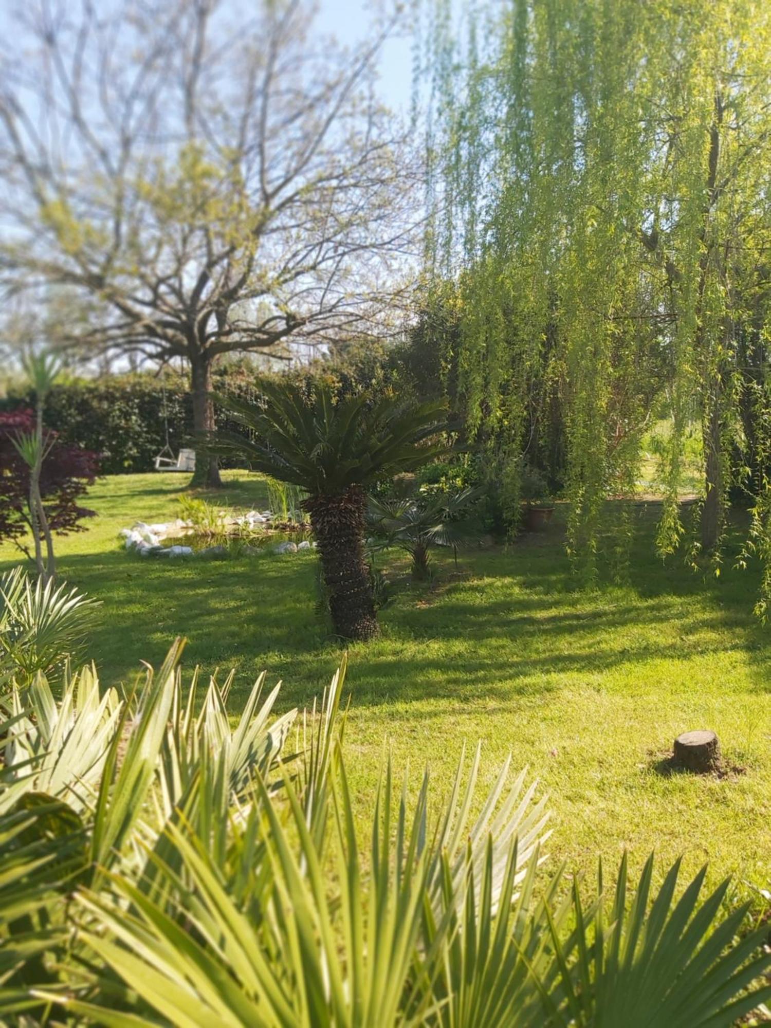 Villa Fioccomare Camaiore Εξωτερικό φωτογραφία