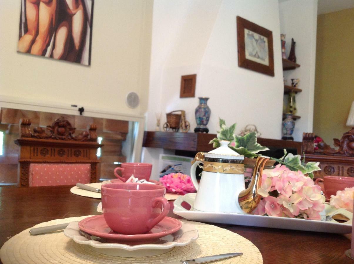Villa Fioccomare Camaiore Εξωτερικό φωτογραφία